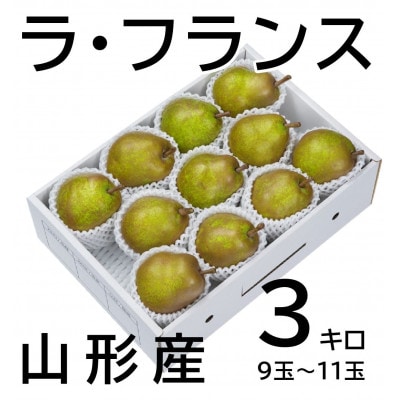 【令和7年発送分】山形産ラ・フランス 3キロ 9玉～11玉 贈答用