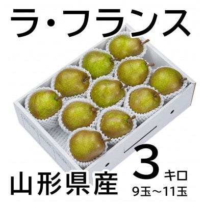 【令和8年発送分】山形県産ラ・フランス 3キロ 9玉～11玉 贈答用