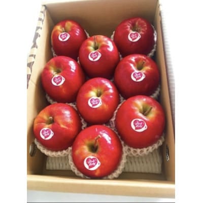 【2025年3月より順次発送】山形県産 希少品種ピンクレディー　2kg　化粧箱入り