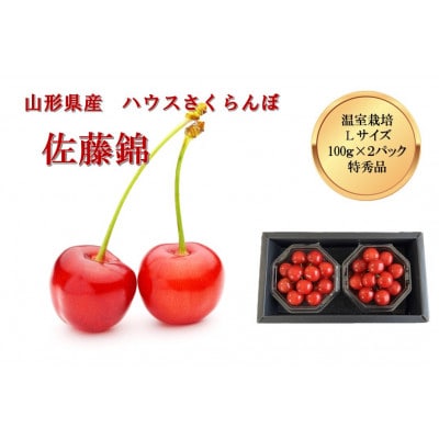 山形県産ハウスさくらんぼ　佐藤錦秀品L　100gパック2個《先行受付2025年度4月発送開始》