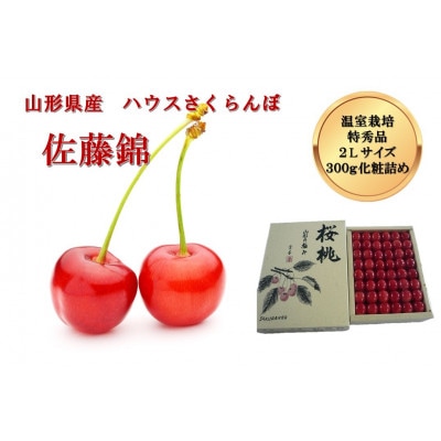 山形県産ハウスさくらんぼ　特秀品2Lサイズ約300g並び詰め《先行受付2025年4月発送開始》
