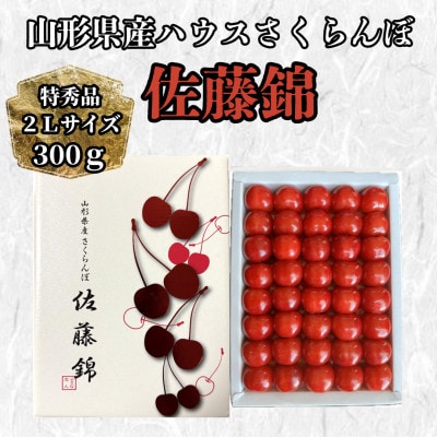 山形県産ハウスさくらんぼ　特秀品2Lサイズ約300g並び詰め《先行受付2026年4月発送開始》