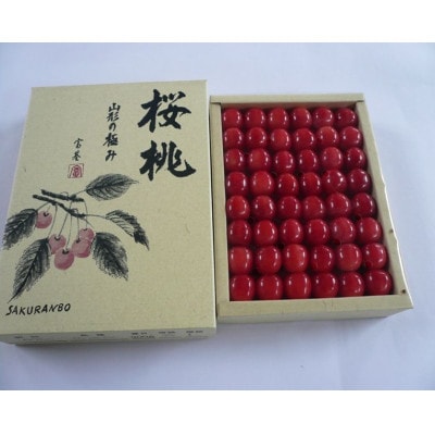 山形県産ハウスさくらんぼ　特秀品2Lサイズ約300g並び詰め《先行受付2025年4月発送開始》