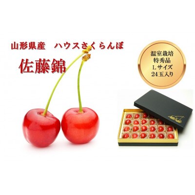山形県産ハウスさくらんぼ　特秀品　Lサイズ24玉入り化粧箱《先行受付2025年4月発送開始》