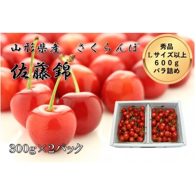 山形県産　さくらんぼ佐藤錦　秀品Lサイズ約600gバラ詰め《先行受付2025年6月発送開始》