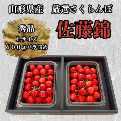 山形県産　さくらんぼ佐藤錦　秀品Lサイズ約600gバラ詰め《先行受付2026年6月発送開始》
