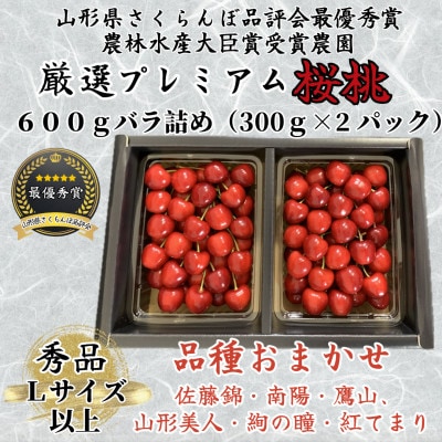 農林水産大臣賞受賞長谷部農園　桜桃600g品種おまかせ　山形県さくらんぼ　先行予約2025年6月発送