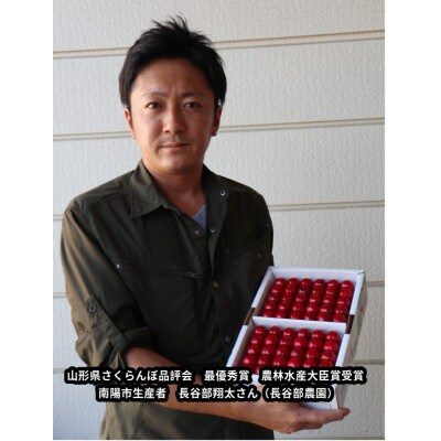 農林水産大臣賞受賞長谷部農園　桜桃600g品種おまかせ　山形県さくらんぼ　先行予約2025年6月発送