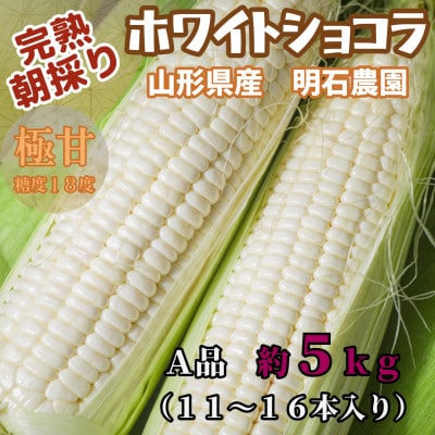完熟ホワイトショコラ 明石農園  5kg とうもろこし 山形県産 2026年7月発送開始