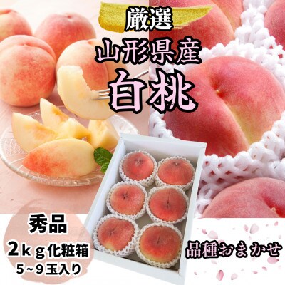 山形県産 厳選白桃 秀品 2kg(5～9玉入り) 化粧箱 品種おまかせ(2026年8月発送開始)