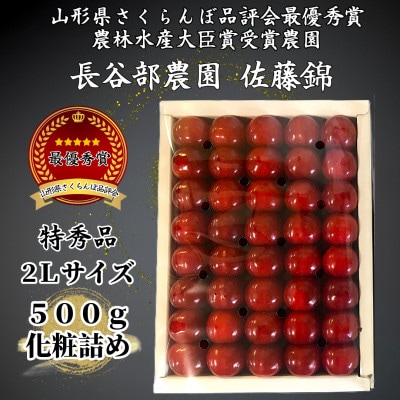 長谷部農園さくらんぼ　佐藤錦500g化粧詰め特秀品2Lサイズ　山形県　先行予約2025年6月より発送