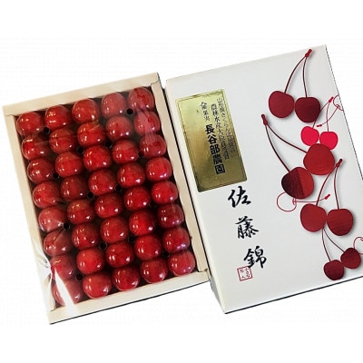 長谷部農園さくらんぼ　佐藤錦500g化粧詰め特秀品2Lサイズ　山形県　先行予約2025年6月より発送