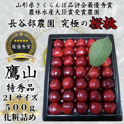 長谷部農園さくらんぼ　鷹山500g化粧詰め特秀品2Lサイズ　山形県　先行予約2025年度6月より発送