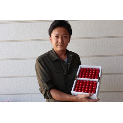 長谷部農園さくらんぼ　鷹山500g化粧詰め特秀品2Lサイズ　山形県　先行予約2025年度6月より発送