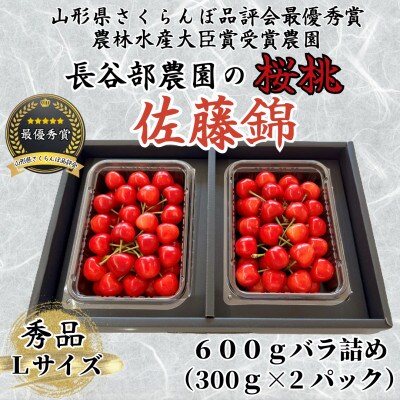 長谷部農園　佐藤錦600gバラ詰め秀品Lサイズ《先行予約2025年度6月より発送》