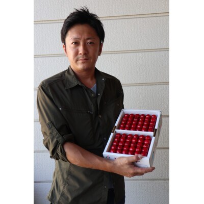 長谷部農園さくらんぼ　紅てまり600gバラ詰め　秀品2Lサイズ《先行予約2025年度6月より発送》