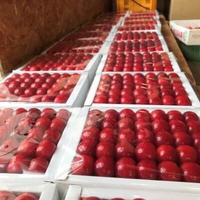 山形県産　厳選さくらんぼ紅秀峰　特秀品1kg鏡詰め2L～3Lサイズ《先行予約2025年6月より発送》