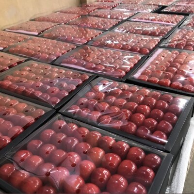 山形県産　明石農園紅秀峰500g化粧詰め　特秀品2L～3Lサイズ《先行予約2025年度6月より発送》