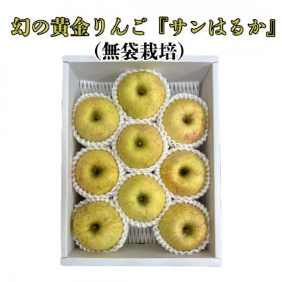 山形県産　厳選りんご『サンはるか』(無袋栽培)　秀品3kg化粧箱《先行受付2025年12月～発送》