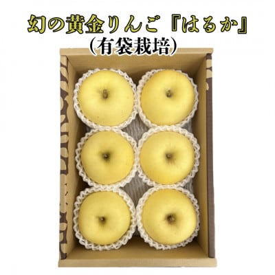 山形県産　厳選完熟りんご『はるか』有袋栽培　秀品以上　2kg化粧箱《先行受付2025年12月～発送》