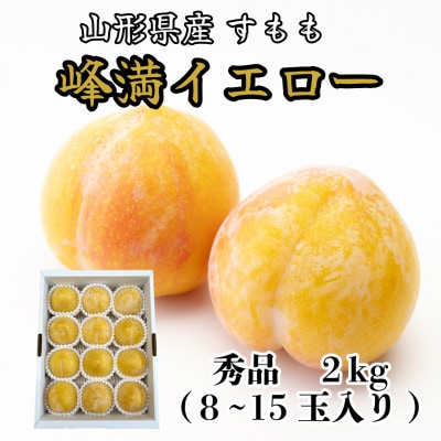 山形県産　峰満イエロープラム2kg化粧箱　秀品(8～15玉入) 【先行受付2026年9月より発送】