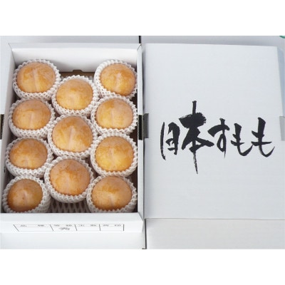 山形県産　峰満イエロープラム2kg化粧箱　秀品(8～15玉入) 【先行受付2026年9月より発送】