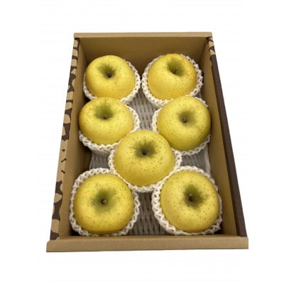 山形県産　シナノゴールドりんご2kg化粧箱　秀品　(5～9玉入り) 【2026年1月発送開始】