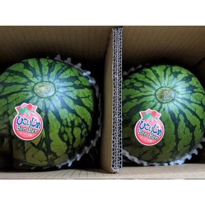 山形県産　黒小玉西瓜　秀品　(2玉入)3kg以上 【先行受付2026年7月発送開始】