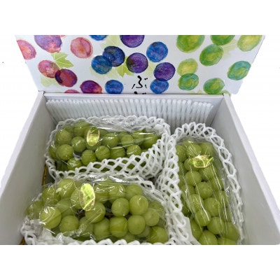 山形県産　シャインマスカット2kg化粧箱　秀品　(3～4房入) 【先行受付2026年9月発送】