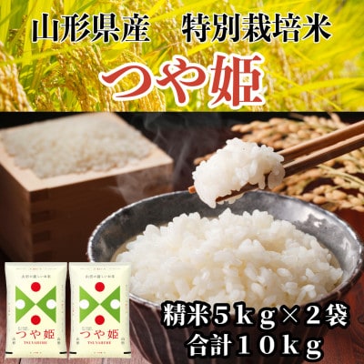 【令和7年産】山形県産　特別栽培米つや姫　精米　10kg(5kg×2袋)
