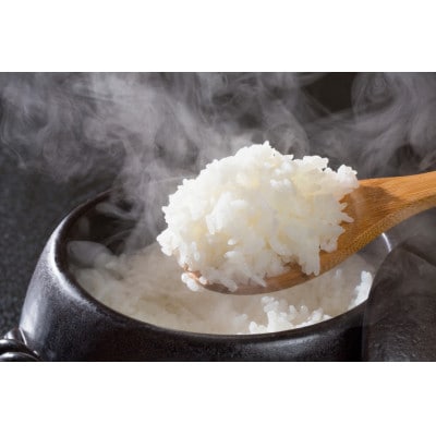 【令和7年産】山形県産　雪若丸　精米10kg(5kg×2袋)