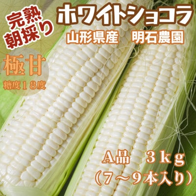 【朝採り】完熟ホワイトショコラ 明石農園 3kg とうもろこし 山形県産　2026年9月発送開始