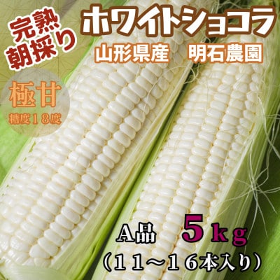 【朝採り】完熟ホワイトショコラ 明石農園 5kg とうもろこし 山形県産　2026年9月発送開始