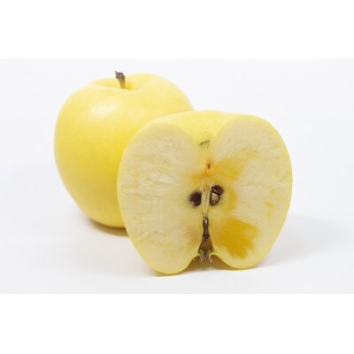 長谷部農園　完熟りんご『サンはるか』特秀品3kg化粧箱7～12玉入　山形県産　令和8年12月発送開始