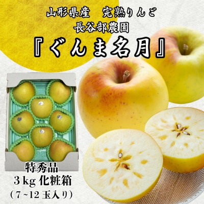 長谷部農園　完熟りんご『ぐんま名月』特秀品3kg化粧箱　7～12玉入　山形県産《令和8年11月発送》