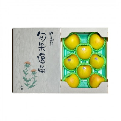 長谷部農園　完熟りんご『ぐんま名月』特秀品3kg化粧箱　7～12玉入　山形県産《令和8年11月発送》