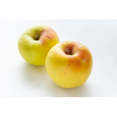 長谷部農園　完熟りんご『ぐんま名月』特秀品3kg化粧箱　7～12玉入　山形県産《令和8年11月発送》