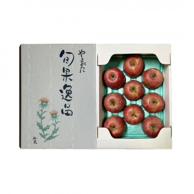 長谷部農園　完熟りんご『シナノスイート』秀品3kg化粧箱7～12玉入　山形県産《令和8年10月発送》