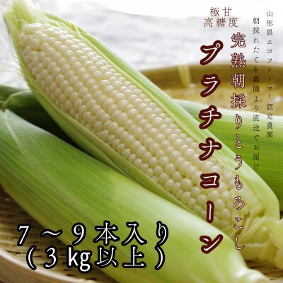 【朝採り】完熟プラチナコーン 明石農園 3kg とうもろこし 山形県産 2026年9月発送開始予定