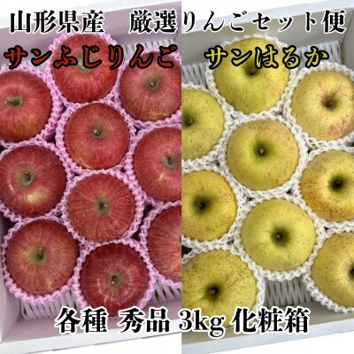 山形県産サンふじりんご・サンはるかりんごセット便　2個口で発送【複数個口で配送】