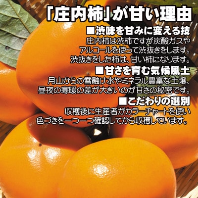 渋抜きした甘い庄内柿 約3kg(15～18コ入)山形県産 タネなしでとっても食べやすい