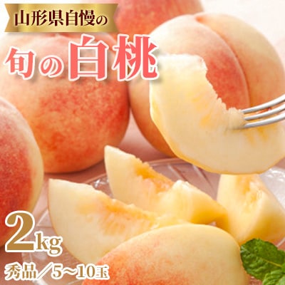 【令和8年度発送】山形県自慢の旬の白桃　秀品　2kg(5～10玉)