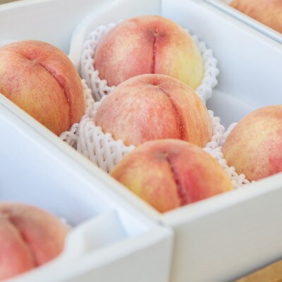山形自慢の旬の白桃　秀品　約2kg(5～10玉)