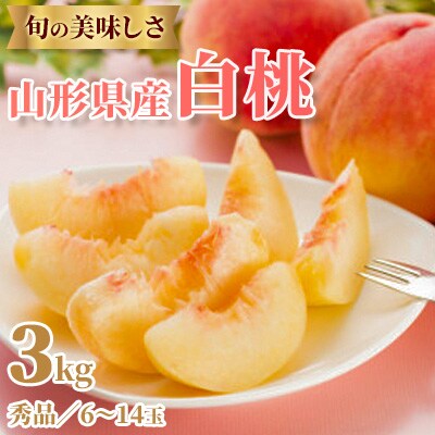 【令和8年度発送】旬のおいしさ 山形県産白桃　3kg(6～14玉)
