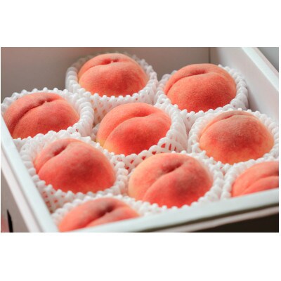 旬のおいしさ 山形白桃　約3kg(6～14玉)