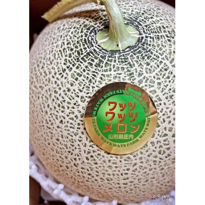 【庄内砂丘メロン】ワッツ・ワッツ・ファームのジューシー大玉メロン(青肉)2玉