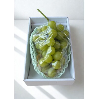 【令和8年度発送】はじける美味しさ!シャインマスカット　秀品　1房(600g)