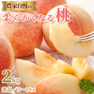 《2026年 先行受付》 農家自慢の柔らかくなる桃 2kg(5～10玉)