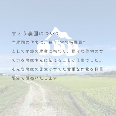 【2026年6月～7月】発送予定農園から直送 山形県産さくらんぼ紅秀峰300g ギフトに☆ 数量限定
