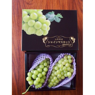 【さとふる限定】【数量限定】農家の先生が作るシャインマスカット(1.6kg)